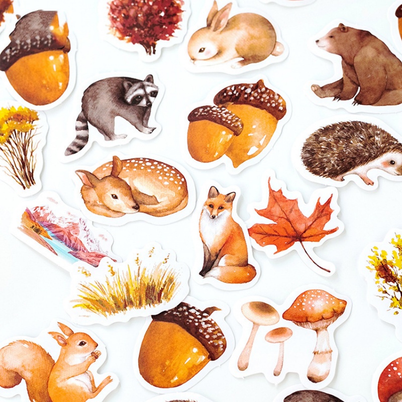 46 folhas por caixa outono flo - Embellishments For Scrapbooking avaliação e preço